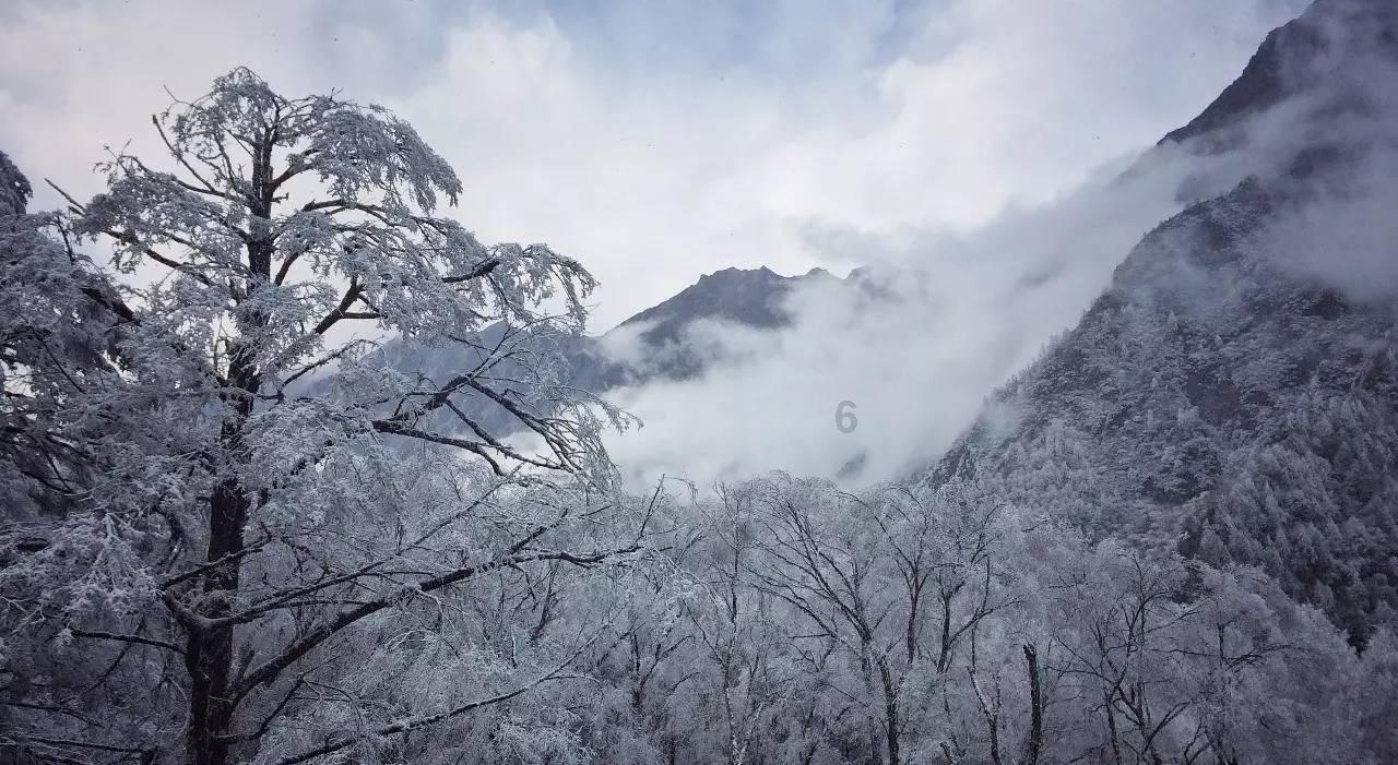 机智问答网页-关注旧4399游戏盒云游问题的优质平台