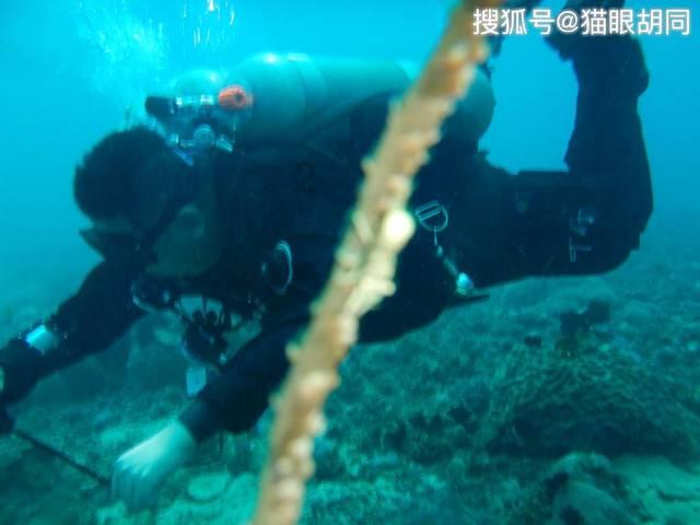 各大动漫人物中，谁的死亡最能让人泪目？